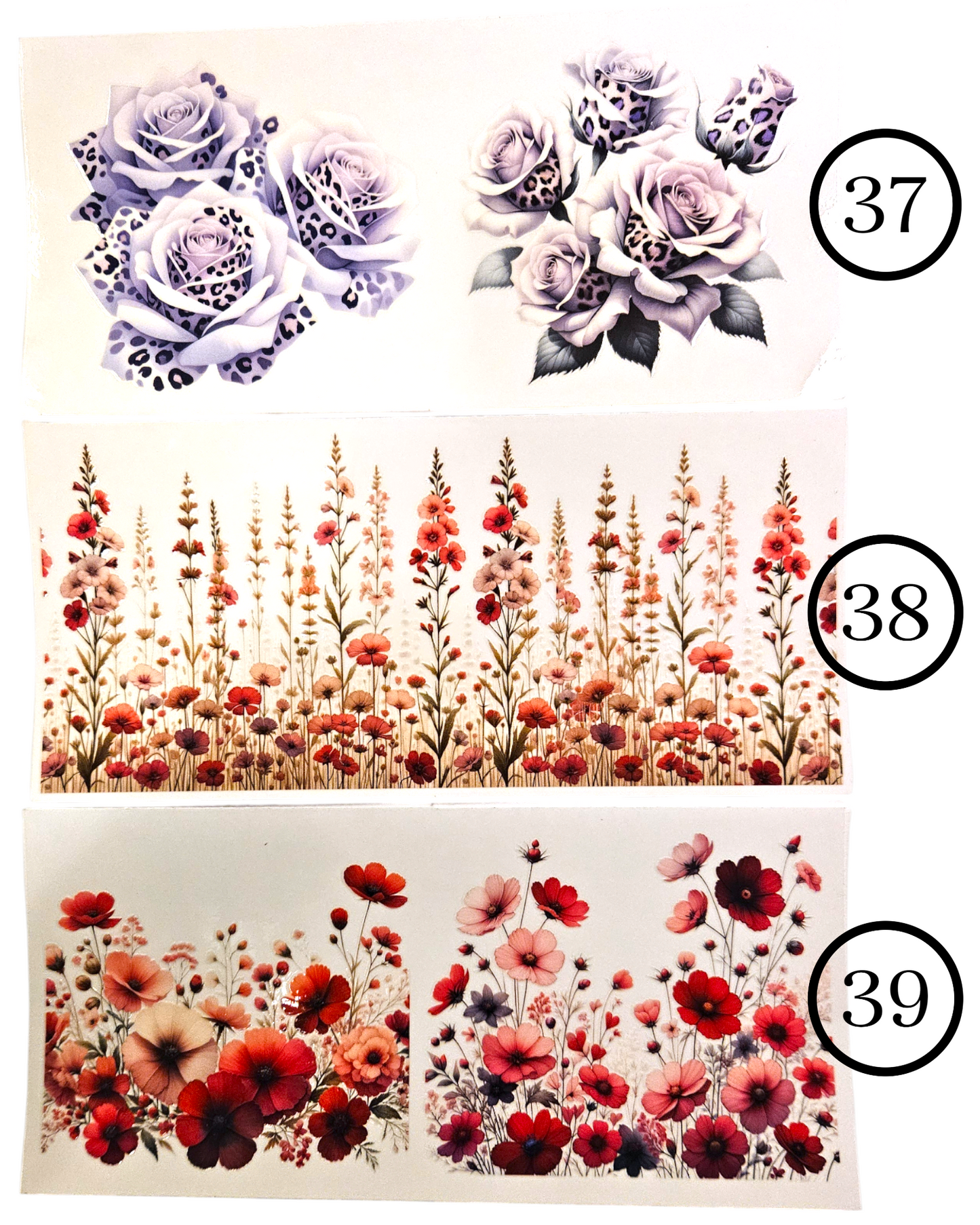 Motive-Schmetterlinge & Blumen